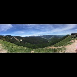 Meet your Posher, Layton